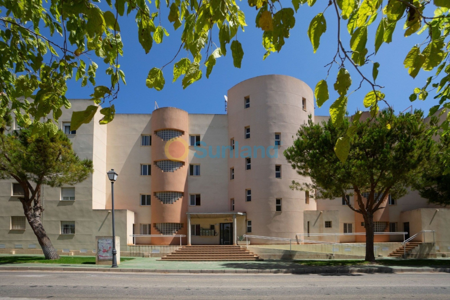 Segunda mano - Apartamento - Orihuela Costa - Dehesa De Campoamor