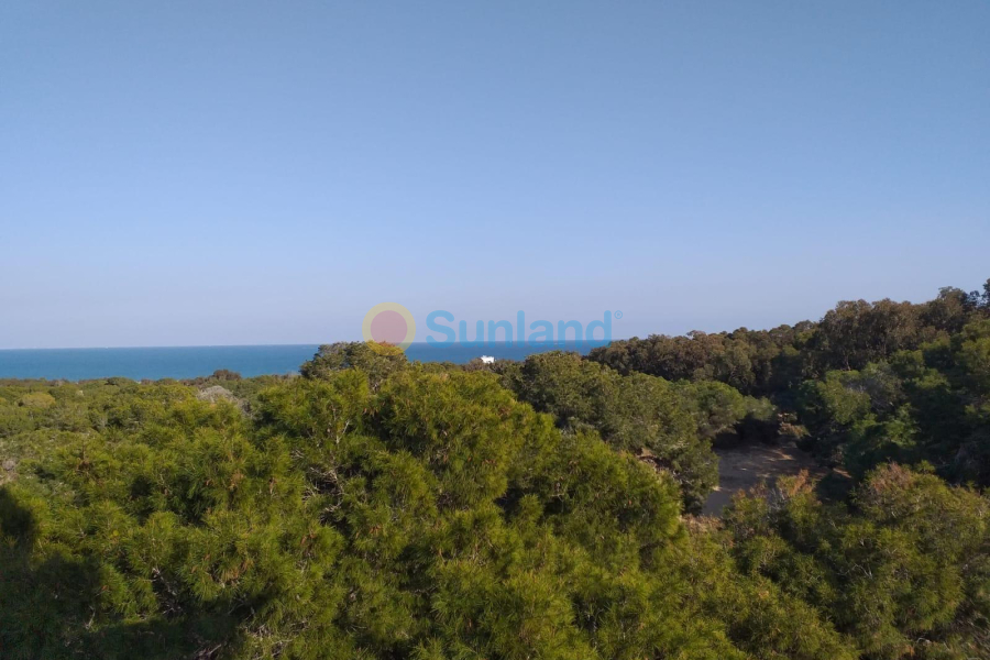 Ny bygg - Toppleilighet - Guardamar del Segura - Pueblo