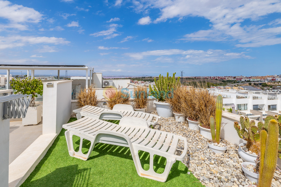 Segunda mano - Casa de Pueblo - Orihuela Costa - PAU 26