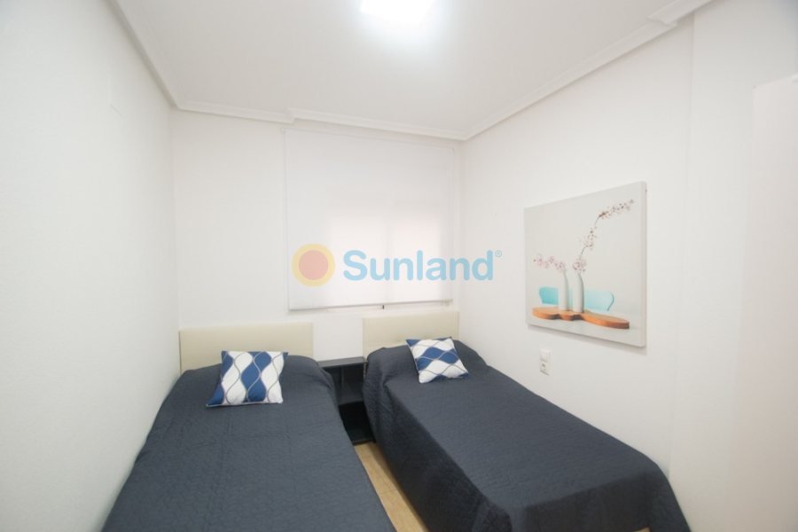 Segunda mano - Apartamento - Orihuela - San Isidro