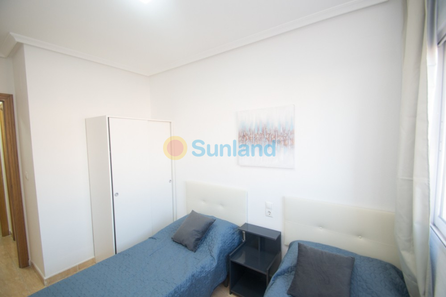 Segunda mano - Apartamento - Orihuela - San Isidro