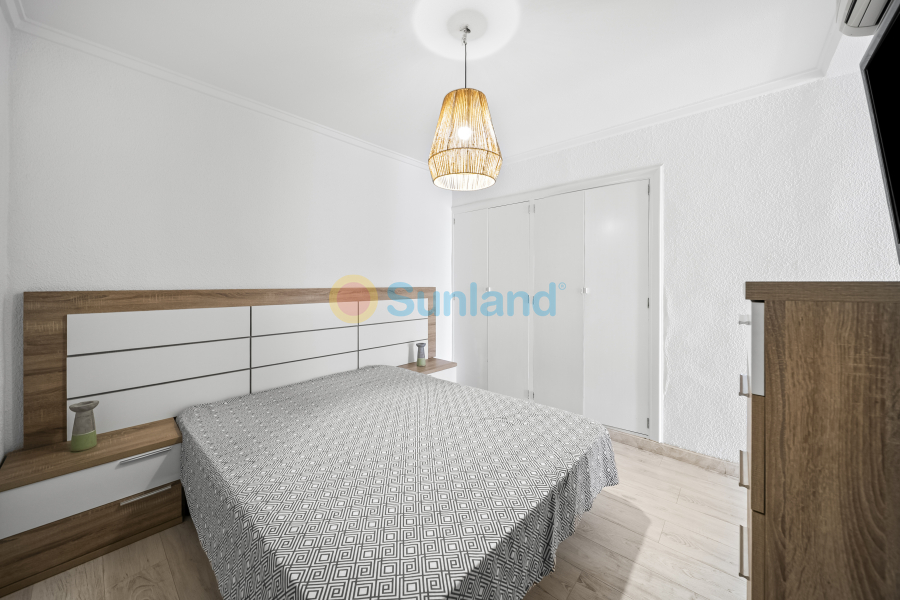 Segunda mano - Apartamento - Torrevieja - Puerto