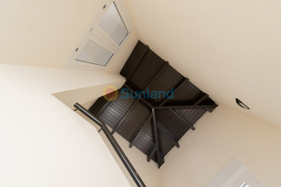 Nueva construcción  - Semidetached - Fuente Alamo - Las Palas