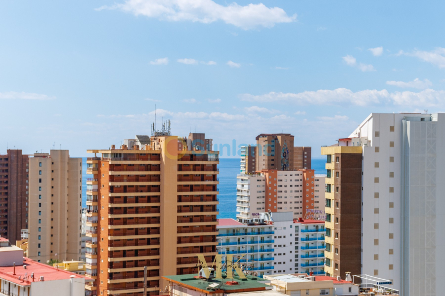 Brukte eiendommer - Leilighet - Benidorm - Levante