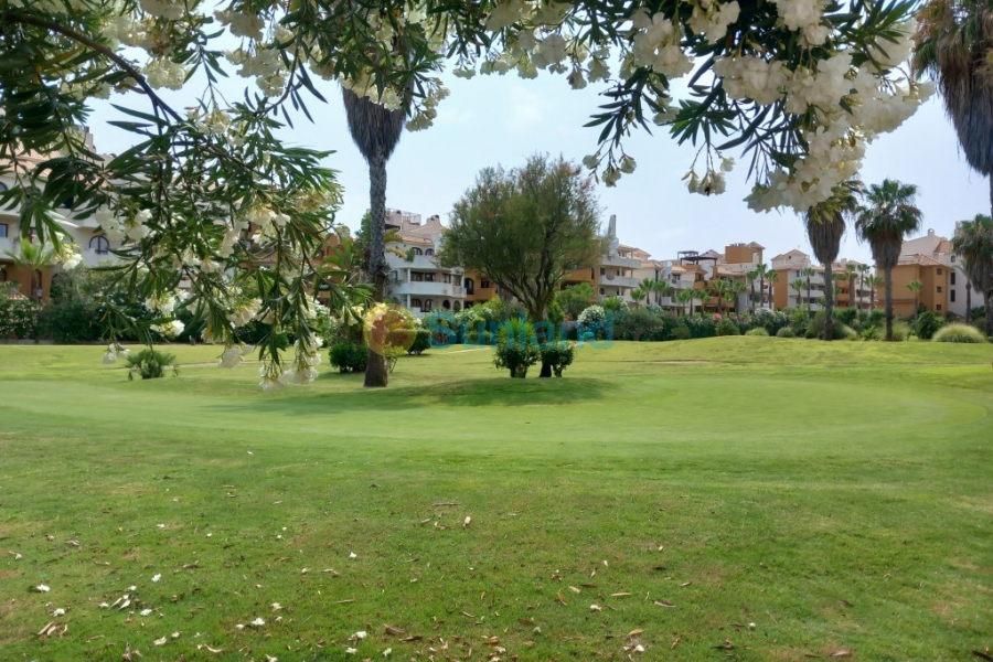 Segunda mano - Apartamento - Punta Prima