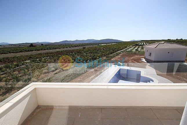 Ny bygg - Villa - Pinoso - Camino Del Prado