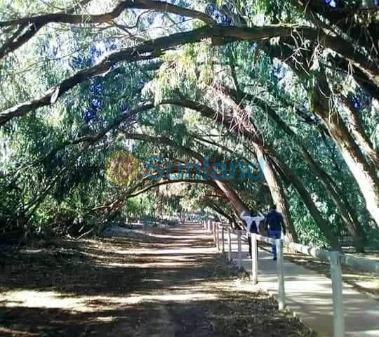 New Build - Top Floor Bungalow - Torrevieja - Altos del Sol