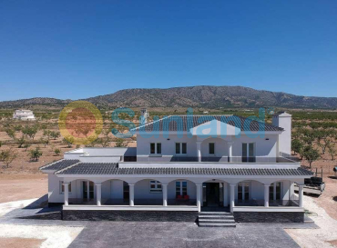 Villa - New Build - Pinoso - Camino Del Prado