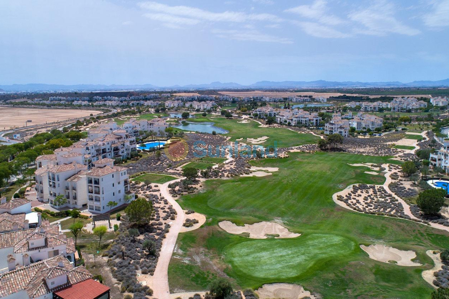 New Build - Semidetached - Sucina