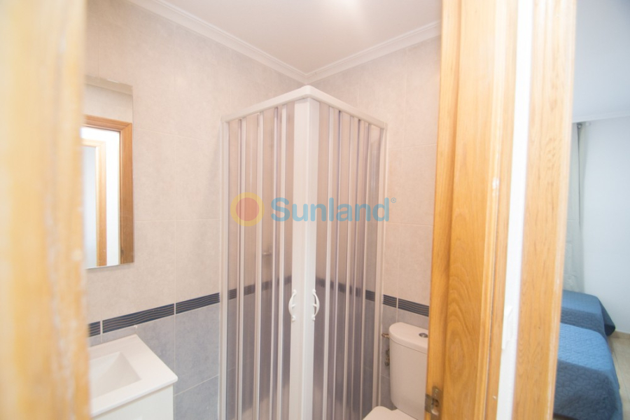 Segunda mano - Apartamento - Orihuela - San Isidro