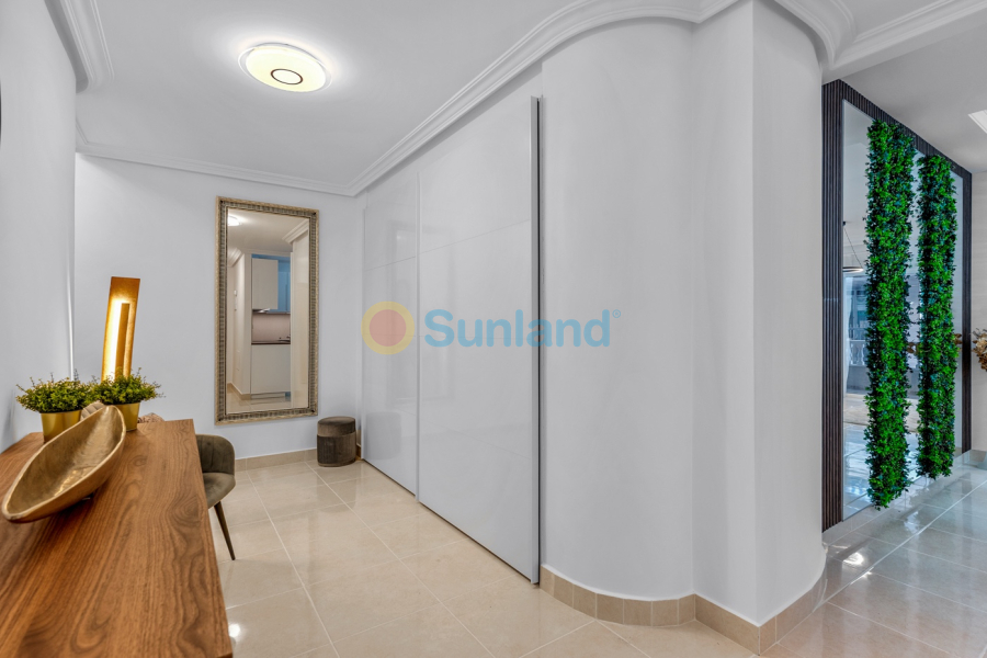 Brukte eiendommer - Leilighet - Torrevieja - Playa del Cura