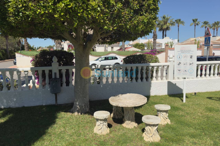 Segunda mano - Apartamento - Ciudad Quesada - Pueblo Bravo