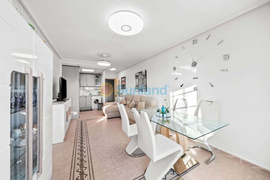 Segunda mano - Apartamento - Torrevieja - La Mata