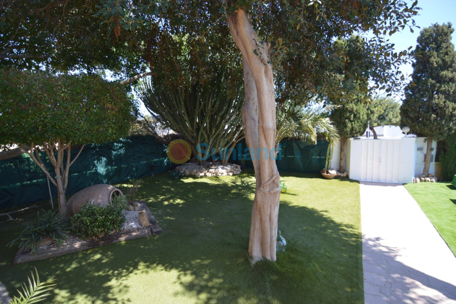 Segunda mano - Chalet - Torrevieja - Torreta - florida