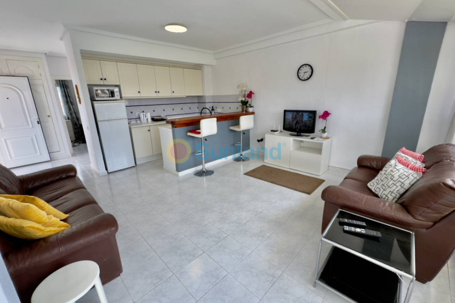 Segunda mano - Apartamento - Ciudad Quesada - Pueblo Bravo