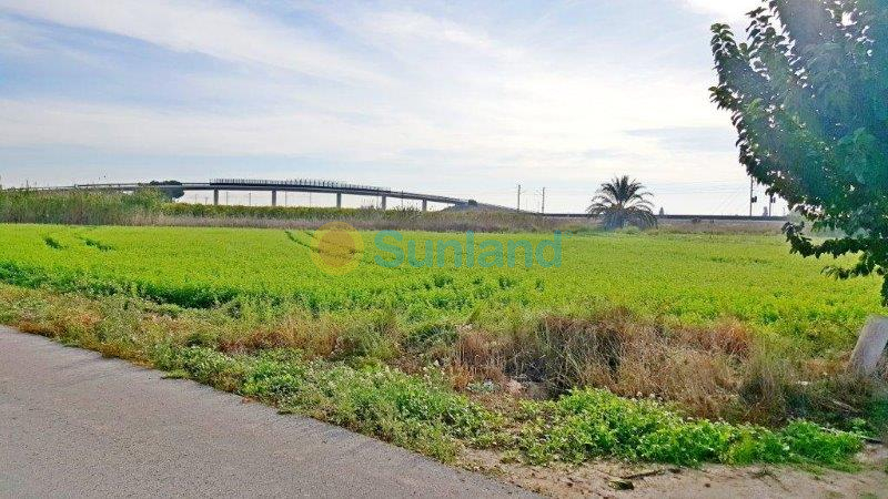 Resale - Finca - Callosa De Segura