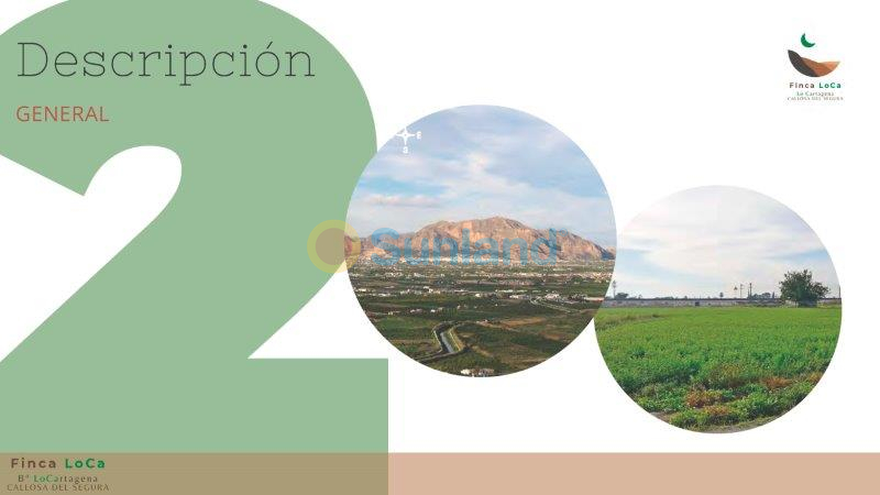 Resale - Finca - Callosa De Segura