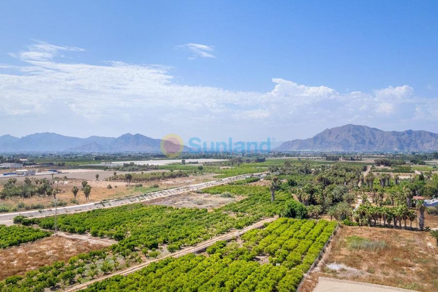 New Build - Penthouse - Jacarilla - pueblo