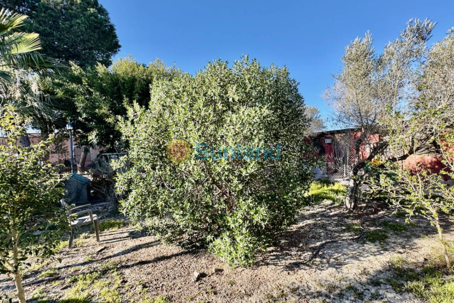 Resale - Country house - Guardamar del Segura - 