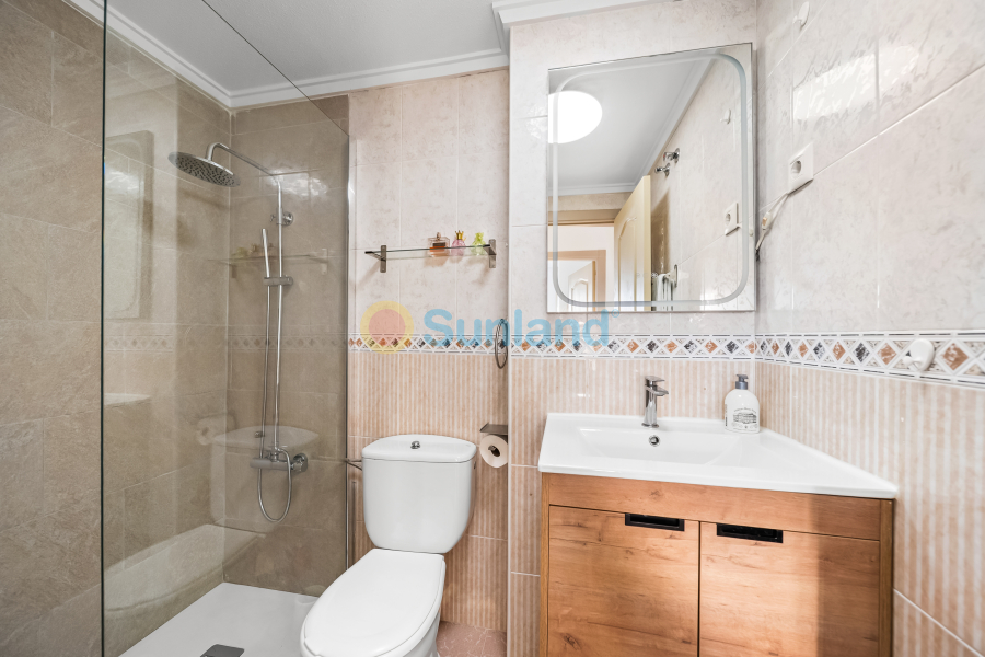 Segunda mano - Apartamento - Torrevieja - La Mata