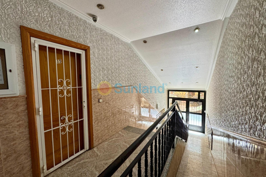 Brukte eiendommer - P - Torrevieja - Centro