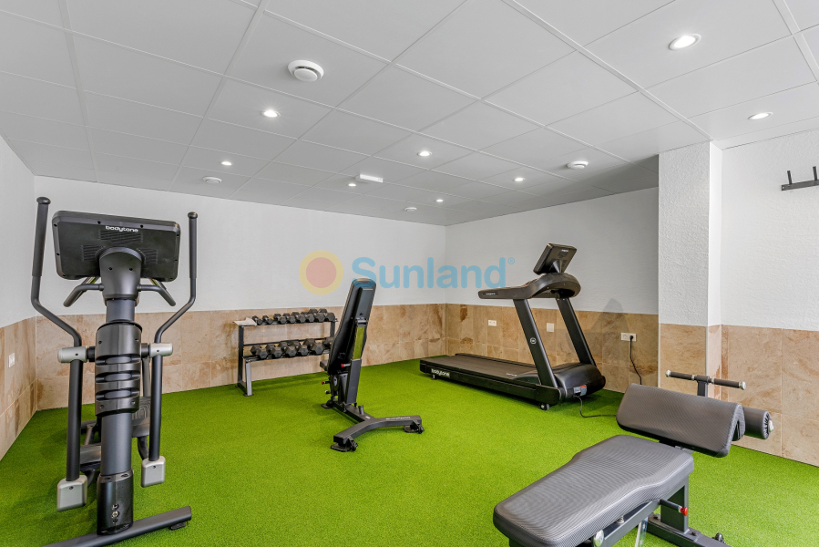 Segunda mano - Apartamento - Guardamar del Segura - El Raso