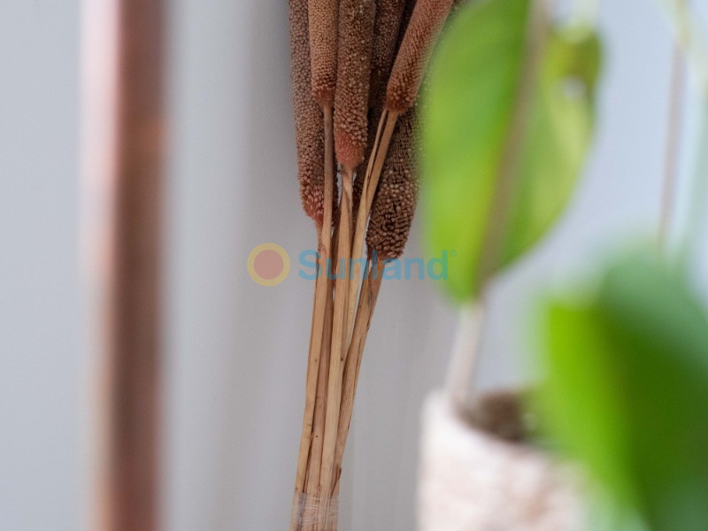 Segunda mano - Chalet - San Miguel de Salinas - Urbanizaciones