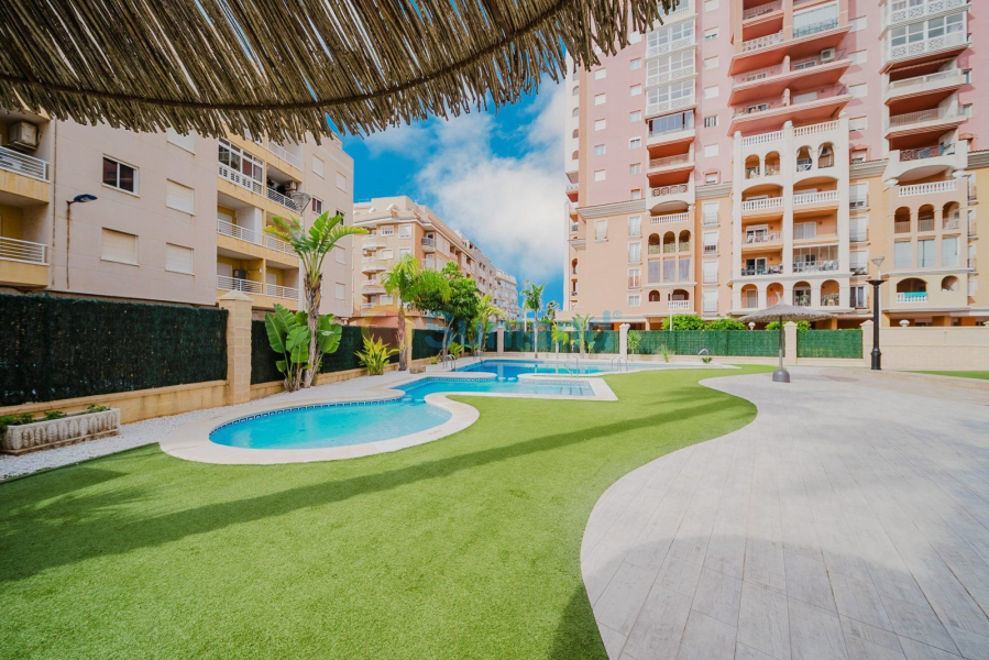 Resale - Apartamento - Torrevieja - Playa de Los Locos