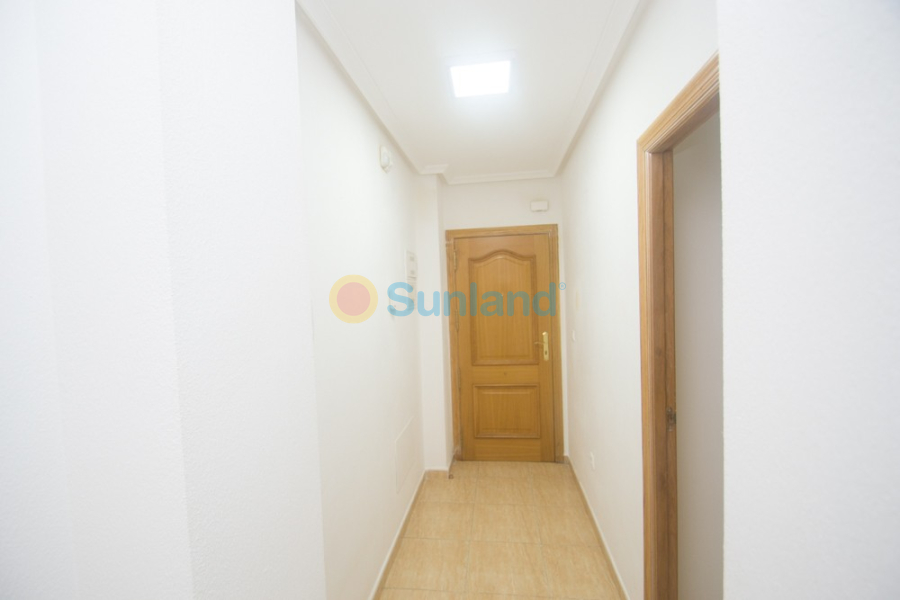 Segunda mano - Apartamento - Orihuela - San Isidro