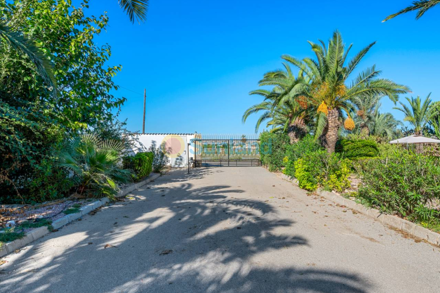 Segunda mano - Country house - Los Montesinos