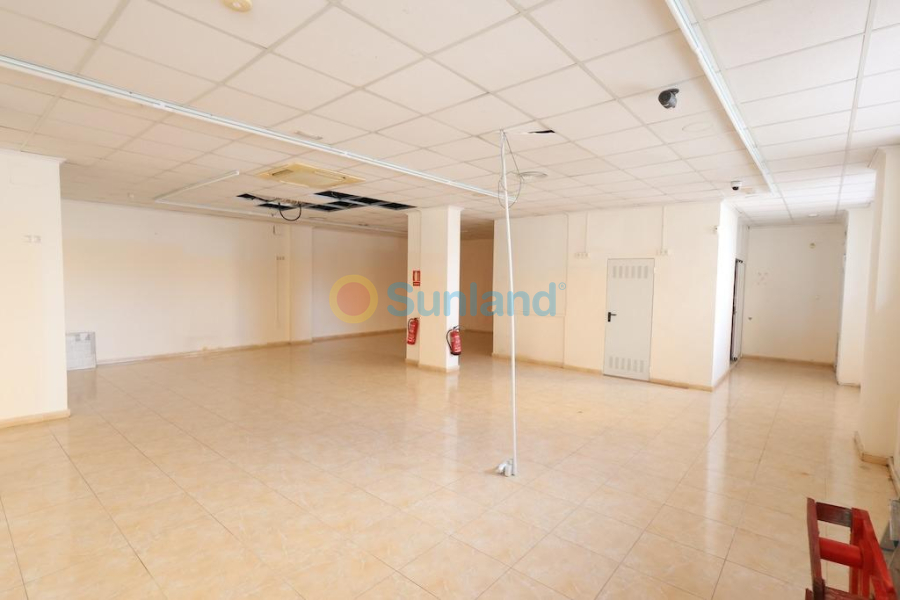 Brukte eiendommer - C - Torrevieja - Estacion de autobuses