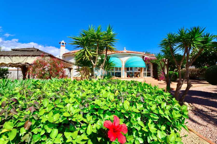 Använda fastigheter - Villa - Ciudad Quesada - Quesada Center