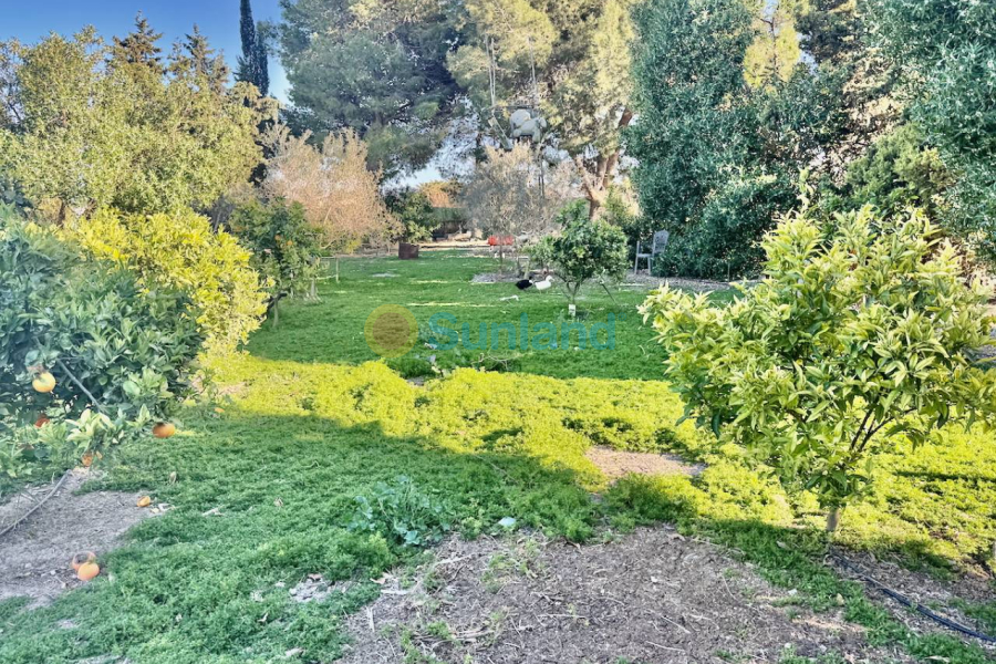 Resale - Country house - Guardamar del Segura - 