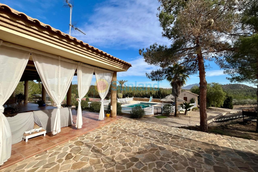 Segunda mano - C - El Esparragal