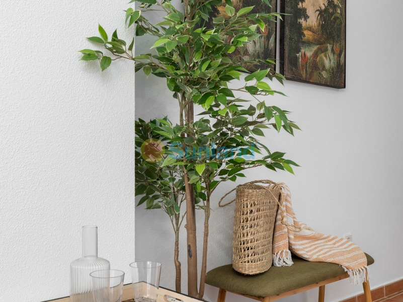 Resale - Apartment - Guardamar del Segura - 