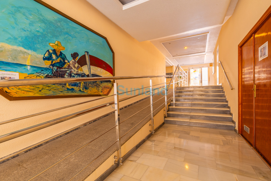 Segunda mano - Ático - Torrevieja - Acequion