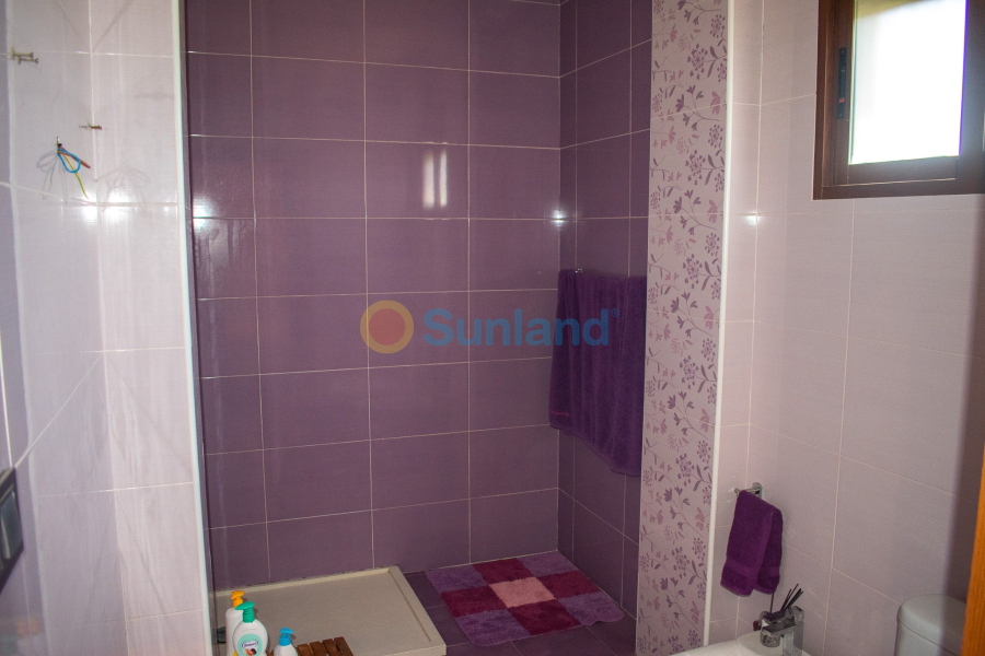 Segunda mano - Chalet - Orihuela - El raal