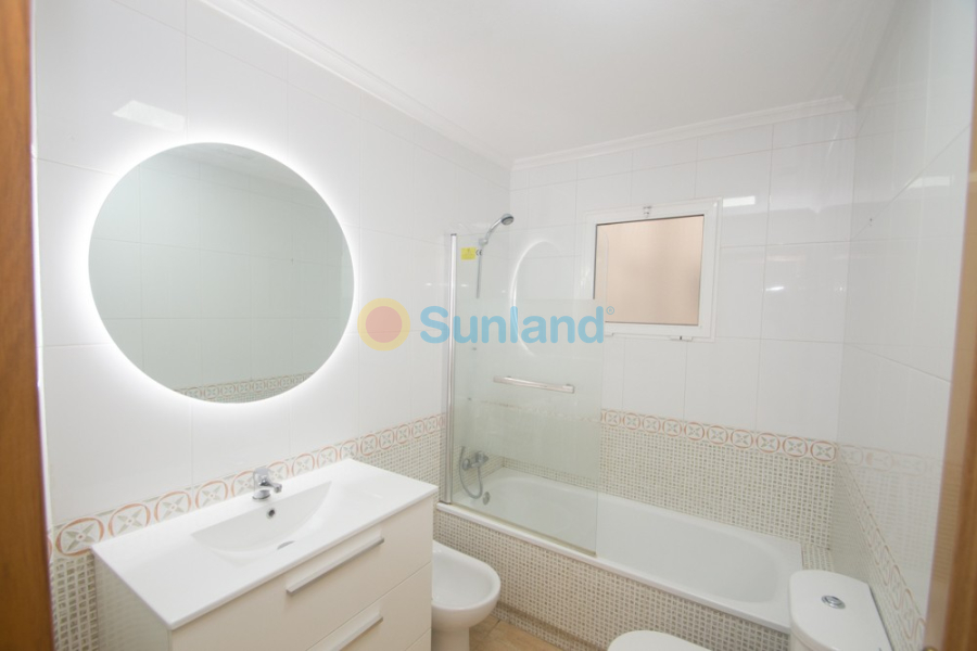 Segunda mano - Apartamento - Orihuela - San Isidro