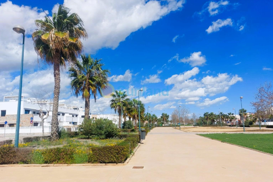 Segunda mano - T - Pilar de la Horadada - Torre de la Horadada