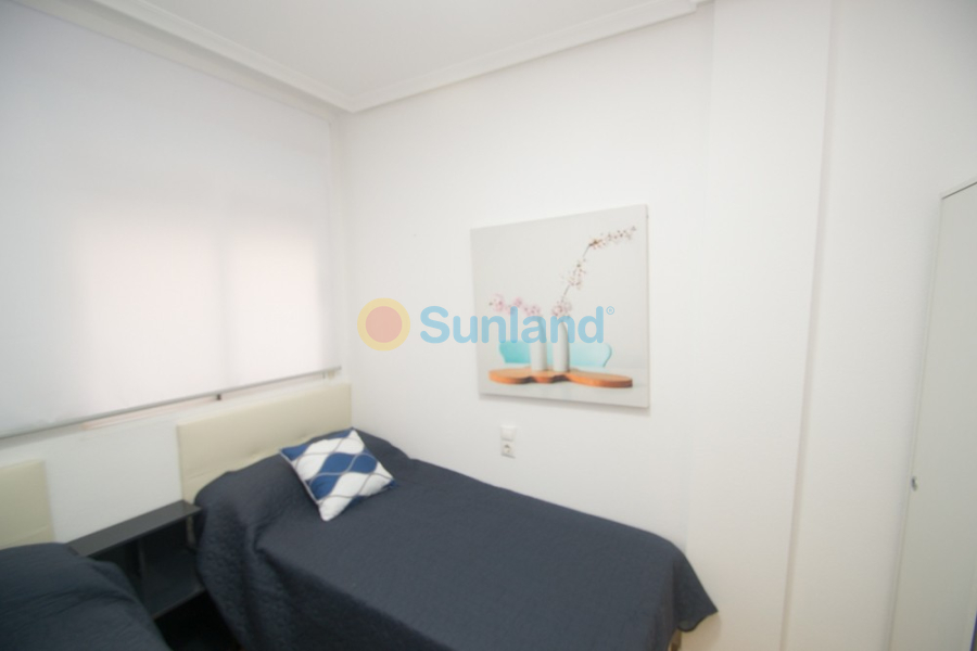 Segunda mano - Apartamento - Orihuela - San Isidro