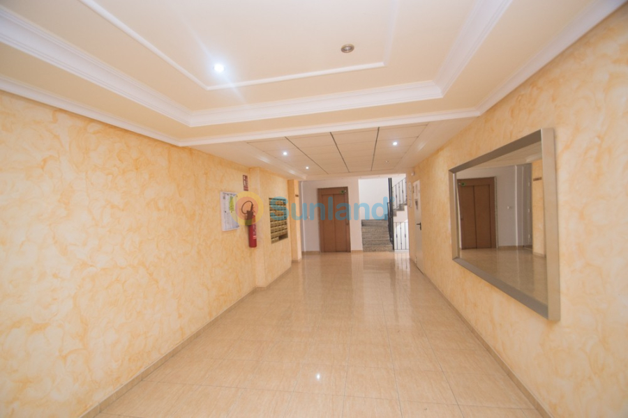 Segunda mano - Apartamento - Orihuela - San Isidro