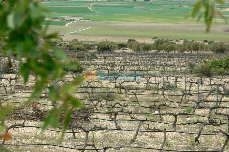 Новостройка - Bилла - Yecla