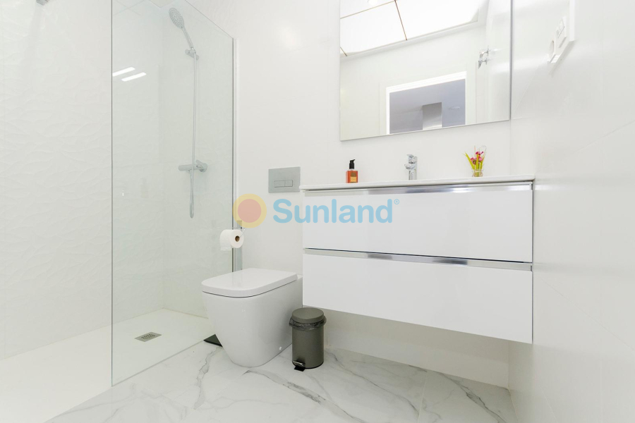 Ny bygg - Villa - Torrevieja - Torretas