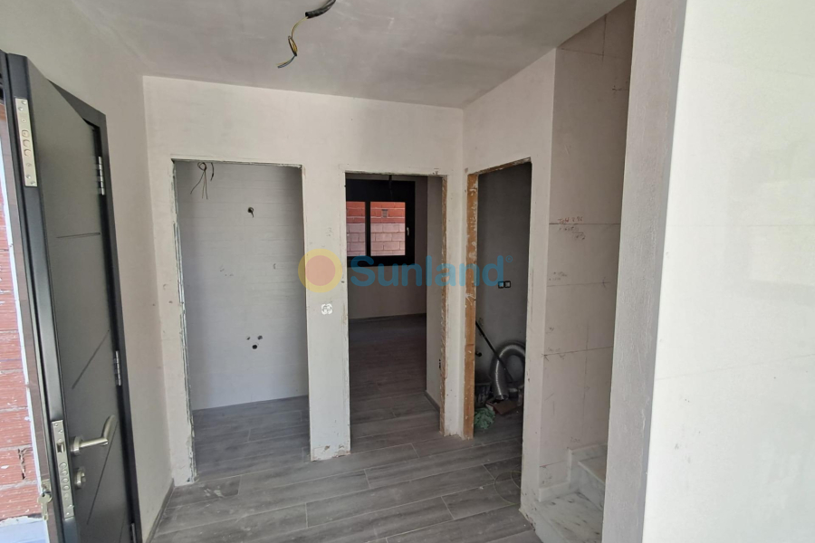 Ny bygg - Villa - Pilar de la Horadada