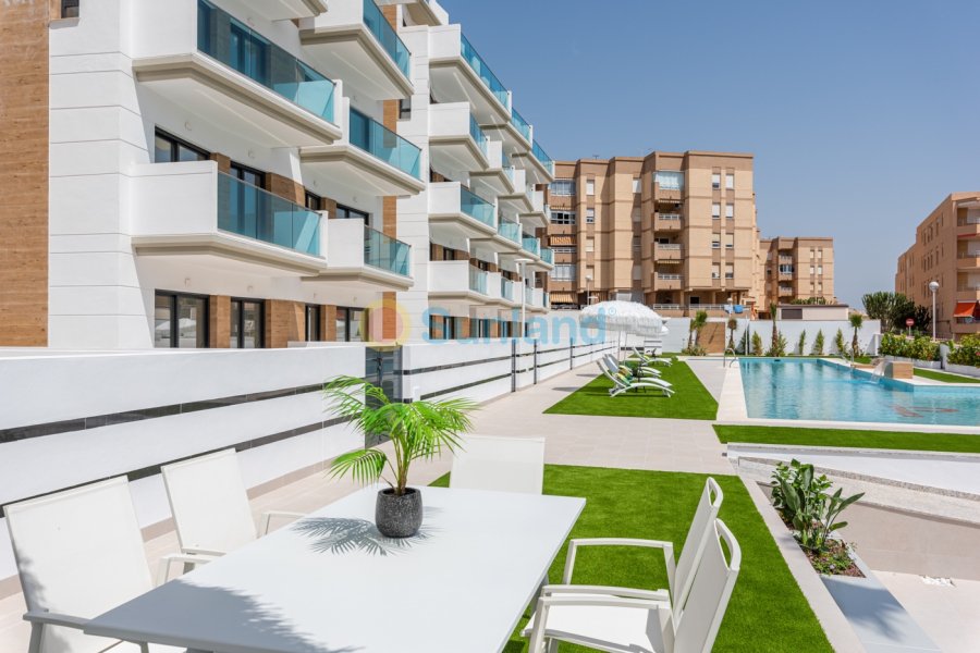 Resale - Apartment - Guardamar del Segura - Guardamar Del Segura