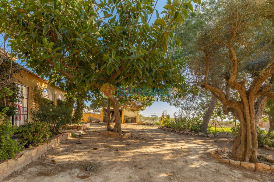 Brukte eiendommer - Villa - Los Montesinos