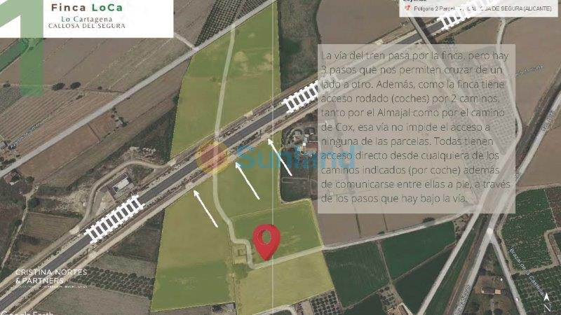 Resale - Finca - Callosa De Segura