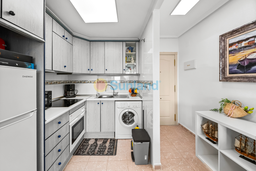 Segunda mano - Apartamento - Torrevieja - La Mata