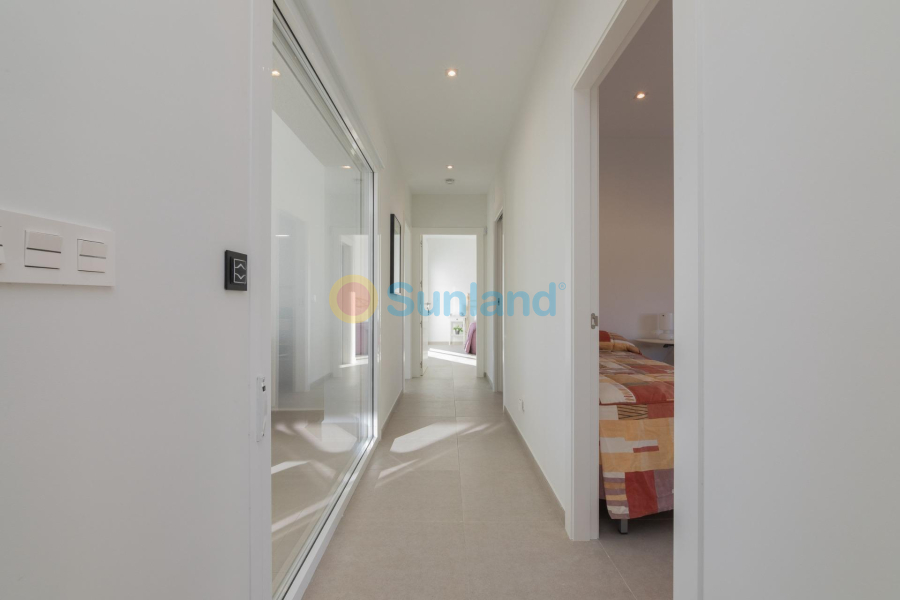 Nueva construcción  - Chalet - Pinoso - Lel