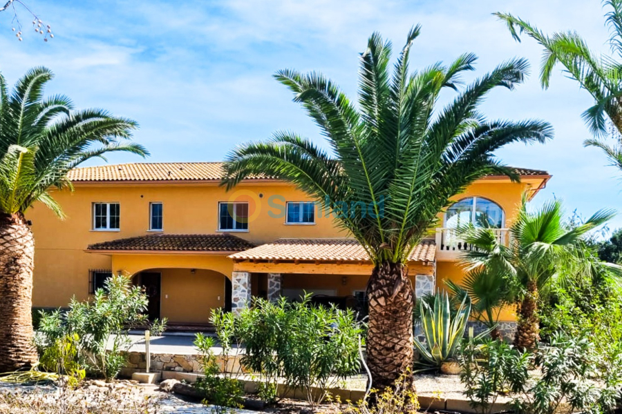 Brukte eiendommer - Villa - Elche - Las Bayas